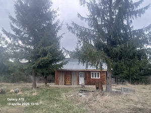 Cabana de inchiriat! - imagine 2