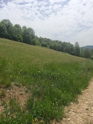 pământ de vânzare  - imagine 2