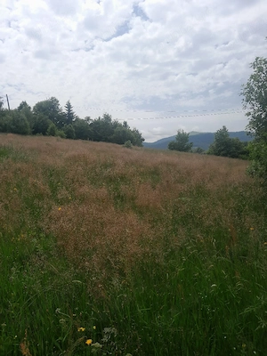 pământ de vânzare 