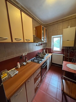 Parcul Carol - PROPRIETAR vand apartament 2 camere spatios - imagine 6