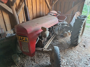 Massey Ferguson + carut - imagine 3