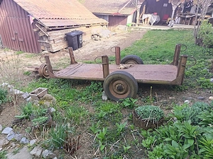 Massey Ferguson + carut - imagine 2