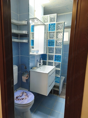 3 Camere Astra  Strada Mierlei - imagine 8