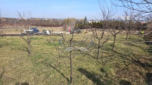 Teren duplex, cu PUZ aprobat in Buna Ziua - imagine 2