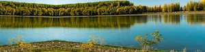 Teren intravilan 1837 mp la Dunăre, în Peceneaga, Tulcea - imagine 9