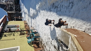 Teckel cu par scurt - imagine 3