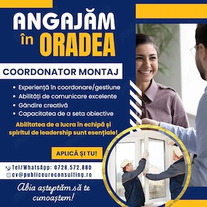 Angajam Coordonator echipe montaj