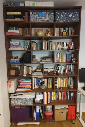 Biblioteca si comoda living