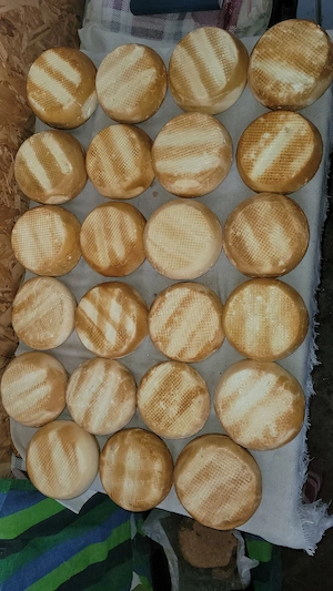 produse tradiționale din lapte de vaca!