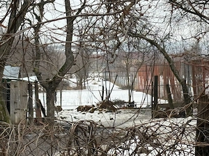 Casă renovată, mobilată, teren 1700 mp, oportunitate locuit sau turism, lângă Călimănești-Căciulata - imagine 3