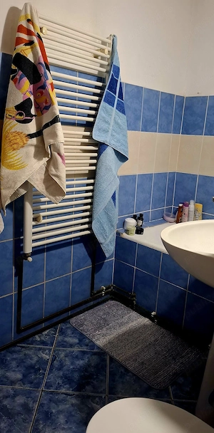 Proprietar inchiriez apartament cu 1 camera, Zona Steaua - Shopping City - imagine 7