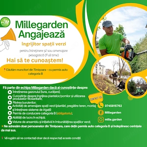 Angajăm îngrijitor spații verzi - Timișoara