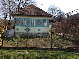 Casa si anexe, teren 5000 mp Mineu, Salaj - imagine 5