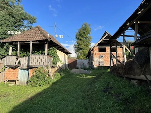 Casa si anexe, teren 5000 mp Mineu, Salaj - imagine 4