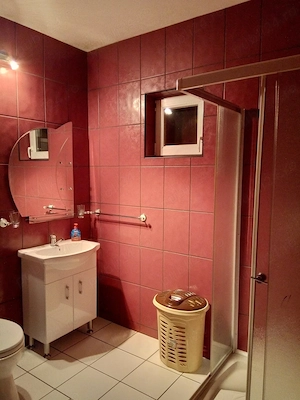 Închiriez vila - imagine 6