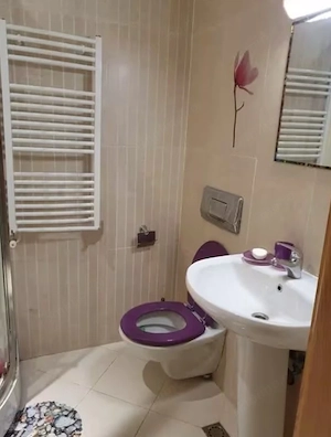 Garsoniera de inchiriat in Tractorul - imagine 4