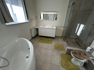 Casa P+E de inchiriat Sacalaz - imagine 7