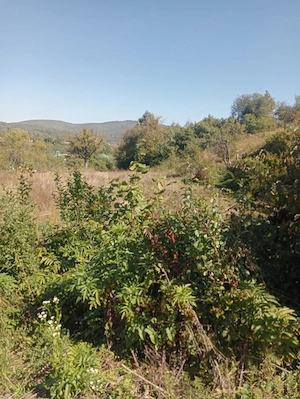 De vânzare teren in Moigrad 50 ari - imagine 9