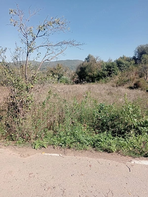 De vânzare teren in Moigrad 50 ari - imagine 7