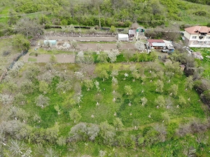 Grădină de vanzare!