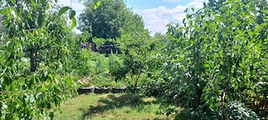 Casă în Biharia cu 2 camere,bucătărie, baie, cu suprafața utilă de 75mp amplasată pe un teren 778mp - imagine 7