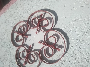 Vând flori pentru gard. - imagine 2