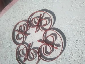 Vând flori pentru gard. - imagine 3