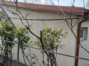 Închiriere  spațiu comercial - imagine 3