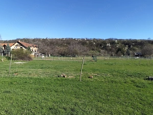 Teren intravilan zona deosebita in Sibiel