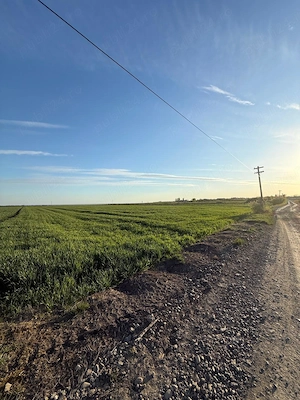 1.3 Ha - Teren extravilan 13.106 mp, la drum, curent în fața parcelei, front 44m - imagine 8