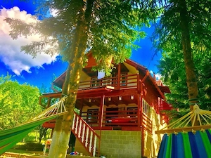 Vand Cabana cu 4 camere in Muntii Calimani - imagine 2