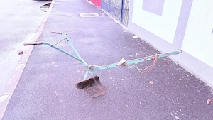 Plug si prasitoare