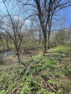  De vânzare teren deosebit   Calugareni  Mereni, comuna Contești  - imagine 8