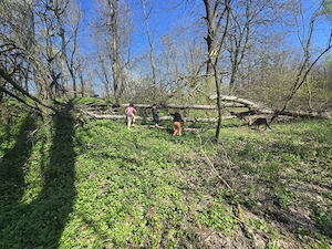  De vânzare teren deosebit   Calugareni  Mereni, comuna Contești  - imagine 2