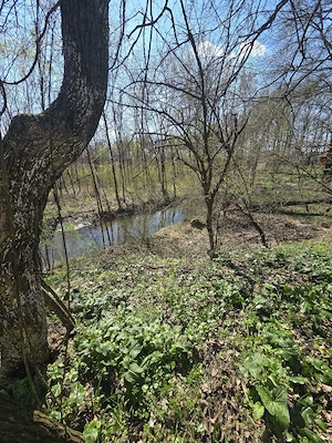  De vânzare teren deosebit   Calugareni  Mereni, comuna Contești  - imagine 7