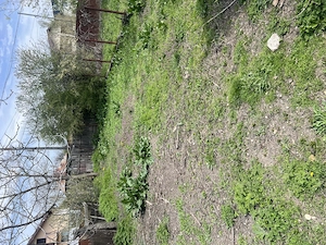 De vânzare casa veche în centru Crevedia mică  - imagine 6