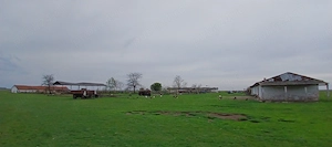 Ferma agricola Salonta