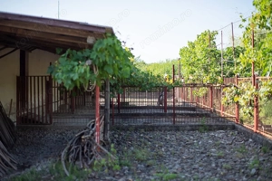 Casă de vânzare Caransebeș – 2 duplexuri, proprietate unică - imagine 10