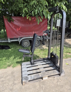 Aparat extensii triceps  Overhead triceps extension !!!