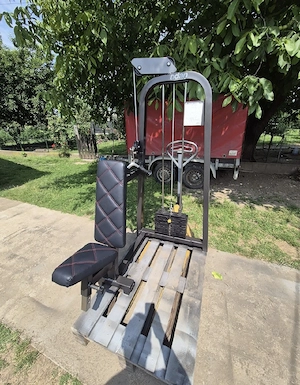 Aparat extensii triceps  Overhead triceps extension !!! - imagine 2