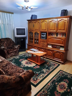 Strada Băilor nr8.Amara - imagine 3