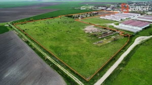 Teren intravilan cu suprafata de 58.340 mp, in Sanmartinul Sarbesc - imagine 2