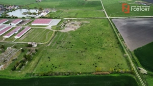 Teren intravilan cu suprafata de 58.340 mp, in Sanmartinul Sarbesc - imagine 14