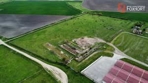 Teren intravilan cu suprafata de 58.340 mp, in Sanmartinul Sarbesc - imagine 19