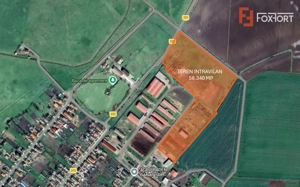 Teren intravilan cu suprafata de 58.340 mp, in Sanmartinul Sarbesc - imagine 5