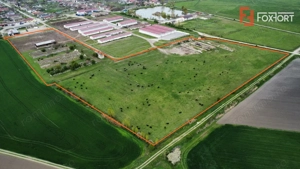 Teren intravilan cu suprafata de 58.340 mp, in Sanmartinul Sarbesc - imagine 4