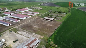 Teren intravilan cu suprafata de 58.340 mp, in Sanmartinul Sarbesc - imagine 8