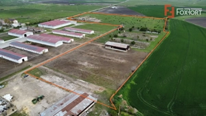 Teren intravilan cu suprafata de 58.340 mp, in Sanmartinul Sarbesc - imagine 3