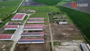 Teren intravilan cu suprafata de 58.340 mp, in Sanmartinul Sarbesc - imagine 6