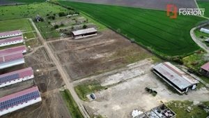 Teren intravilan cu suprafata de 58.340 mp, in Sanmartinul Sarbesc - imagine 7